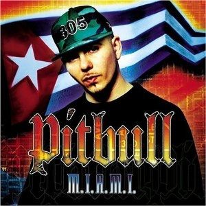 pitbull letras com 316 canciones