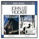 Imagem do álbum Boom Boom / Chill Out do(a) artista John Lee Hooker