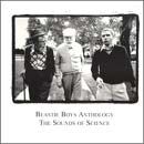 Imagem do álbum Check Your Head do(a) artista Beastie Boys