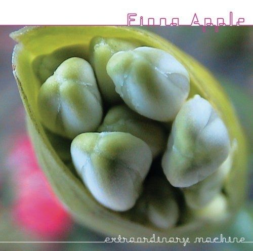 Imagem do álbum Extraordinary Machine do(a) artista Fiona Apple