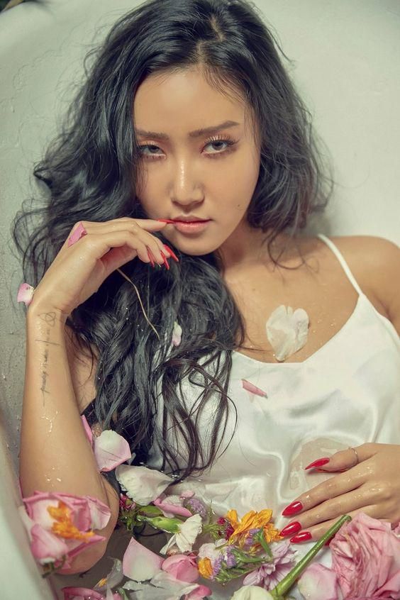 TWIT - Hwasa - LETRAS.COM