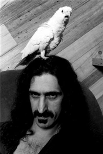 Frank Zappa Fuck Yourself 102